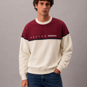 ropa para hombre BUZO BOSTON ROJO 2
