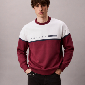 ropa para hombre BUZO BOSTON ROJO 3