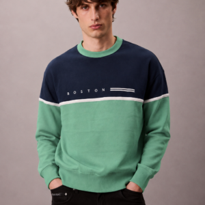 ropa para hombre BUZO BOSTON VERDE