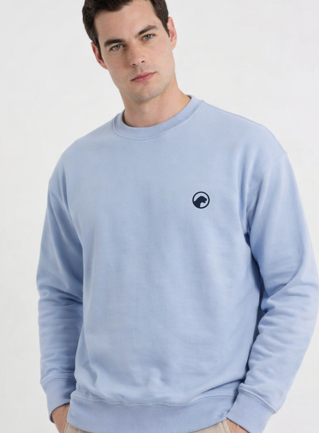 ropa para hombre BUZO RH AZUL